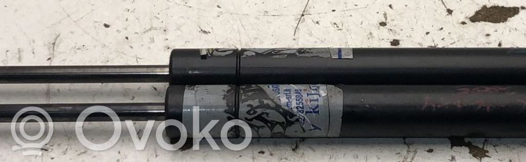 Ford Galaxy Ammortizzatore portellone posteriore/bagagliaio