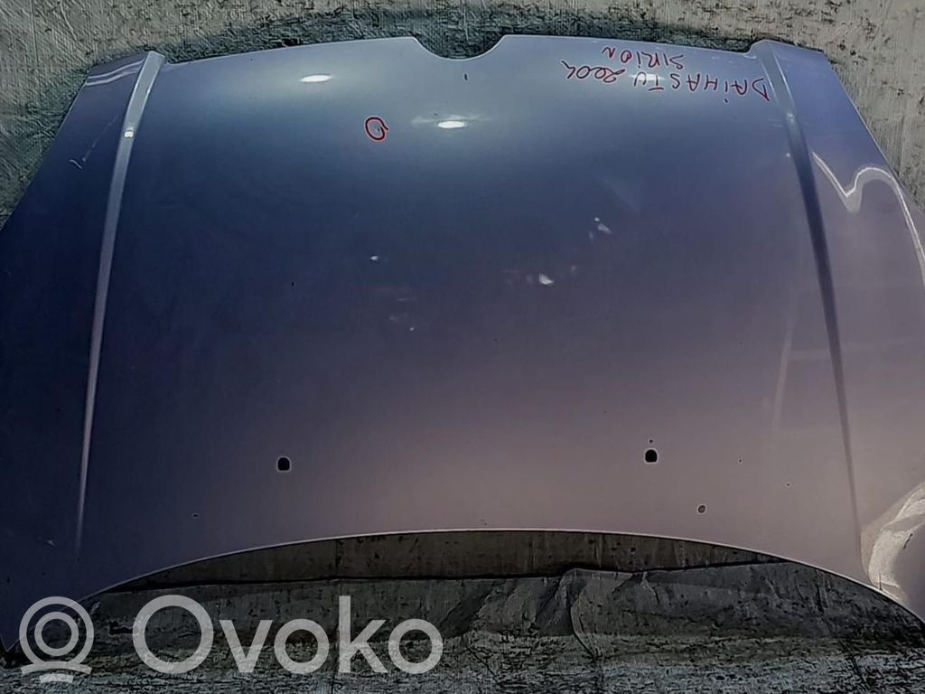Motorhaube