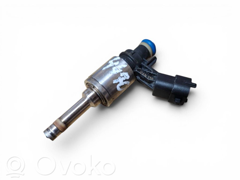 Opel Insignia A Inyector de combustible 