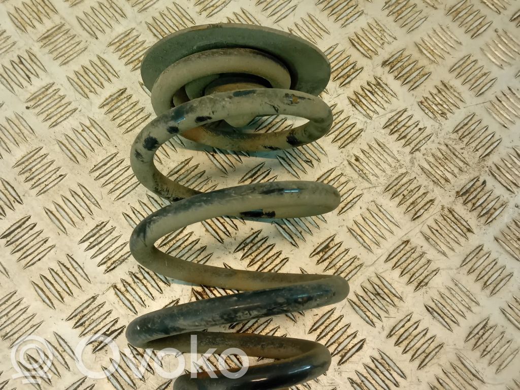 Rear coil spring
