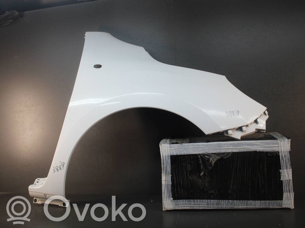 Renault Kangoo II Uchwyt / Mocowanie błotnika przedniego 