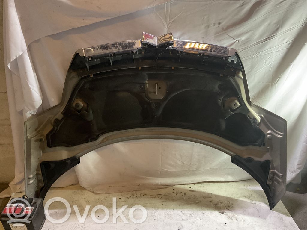 Engine bonnet/hood   868400