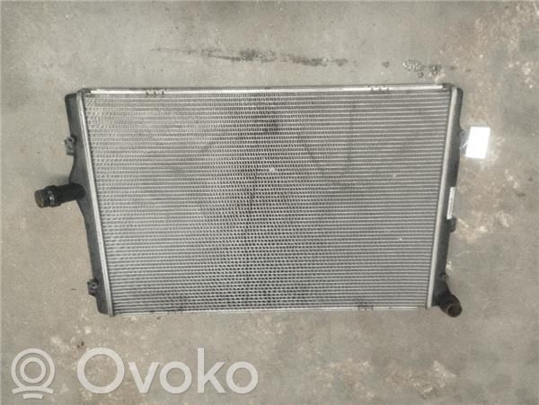 Volkswagen PASSAT B6 Radiatore di raffreddamento 