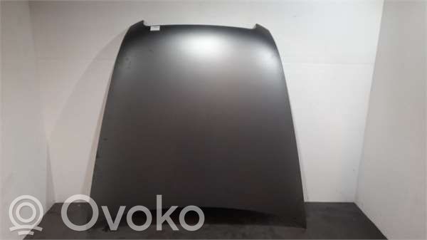 Engine bonnet/hood