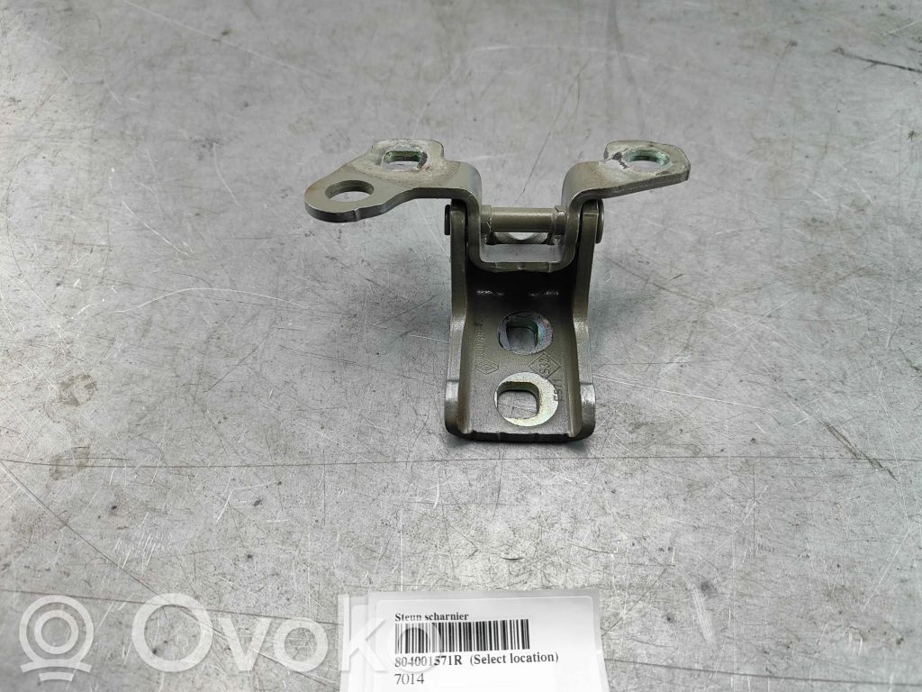 Zawias górny drzwi   804001571R
