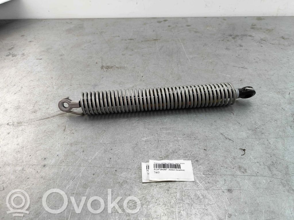 BMW 5 F10 F11 Ammortizzatore portellone posteriore/bagagliaio 