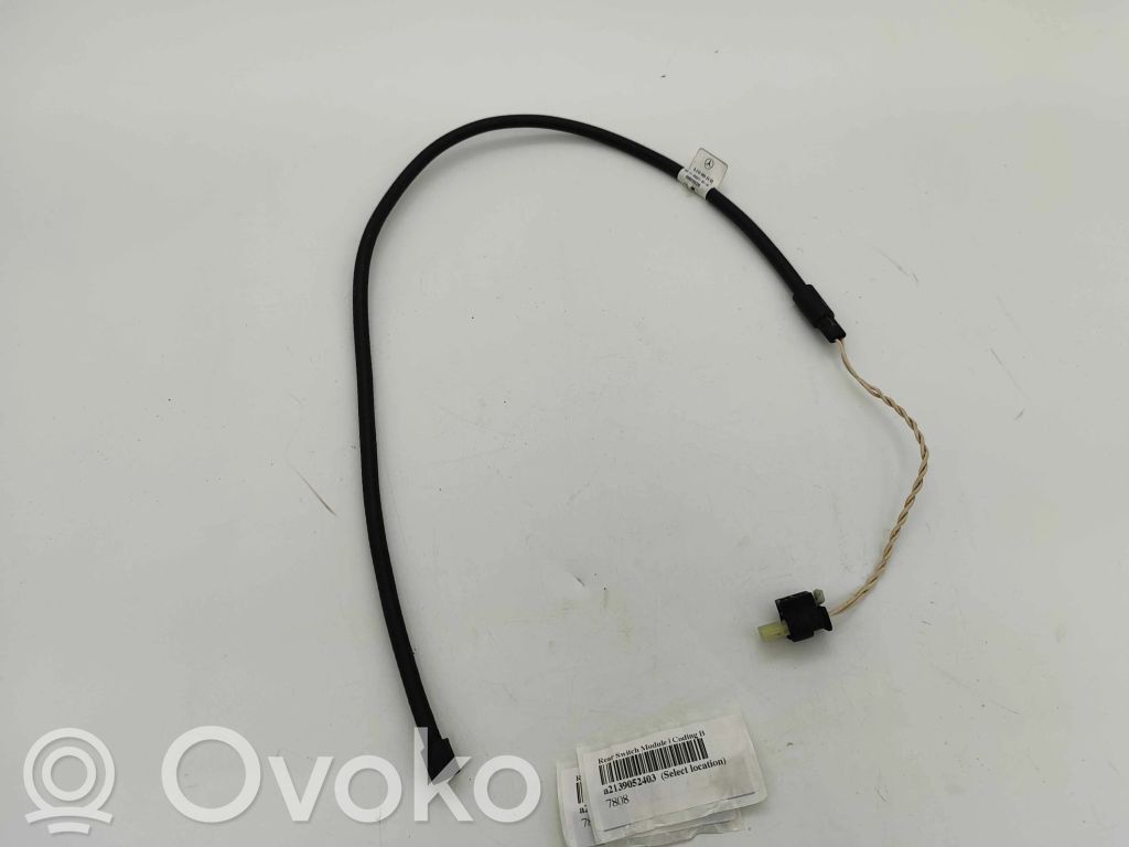 Mercedes-Benz E W213 Tailgate/trunk control unit/module 