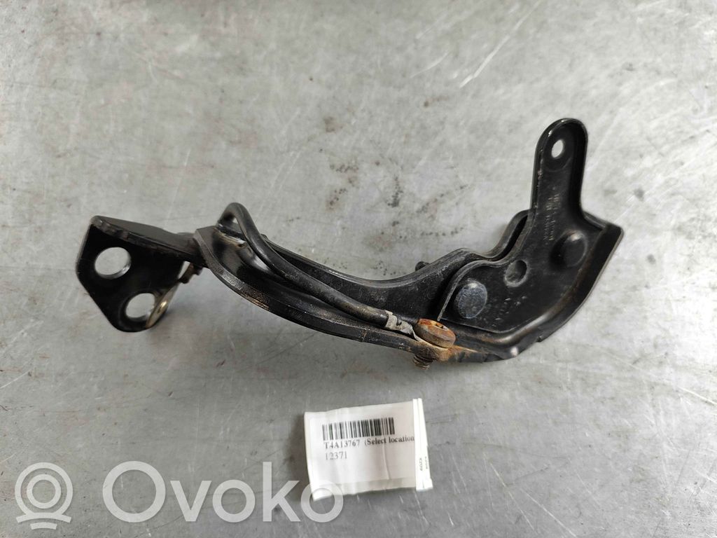 Jaguar F-Pace Tailgate hinge 