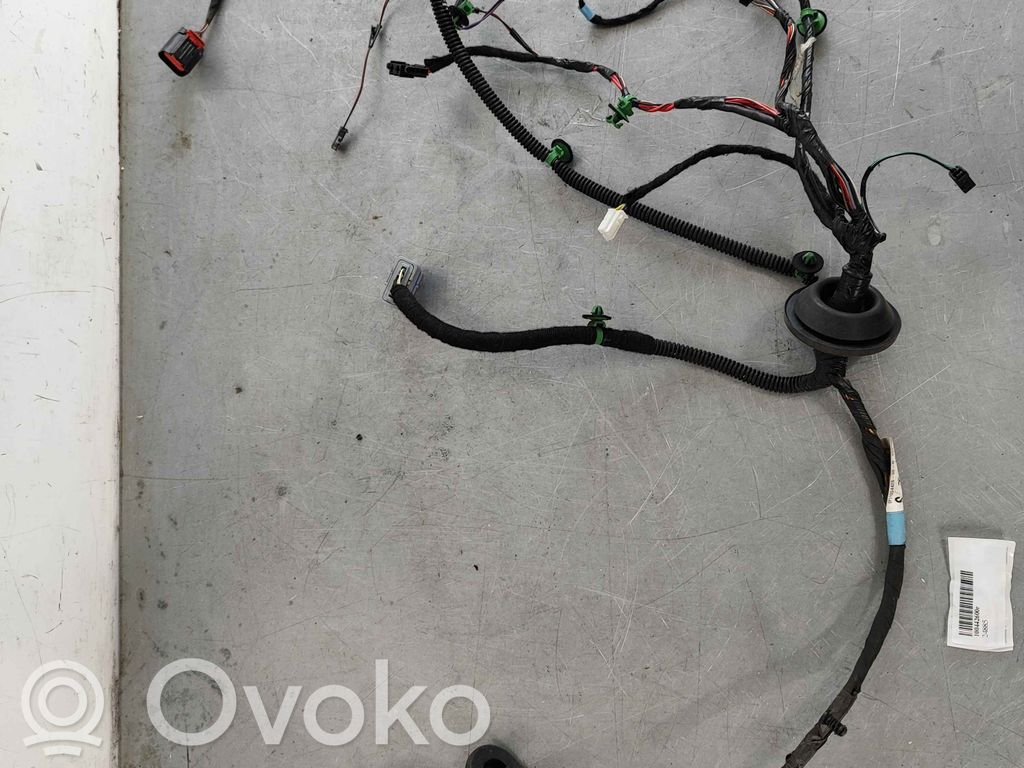 Cableado de puerta trasera   100442600R