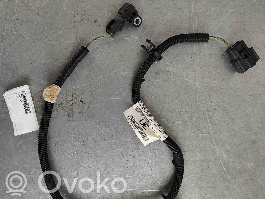 Cableado de puerta delantera   13989765