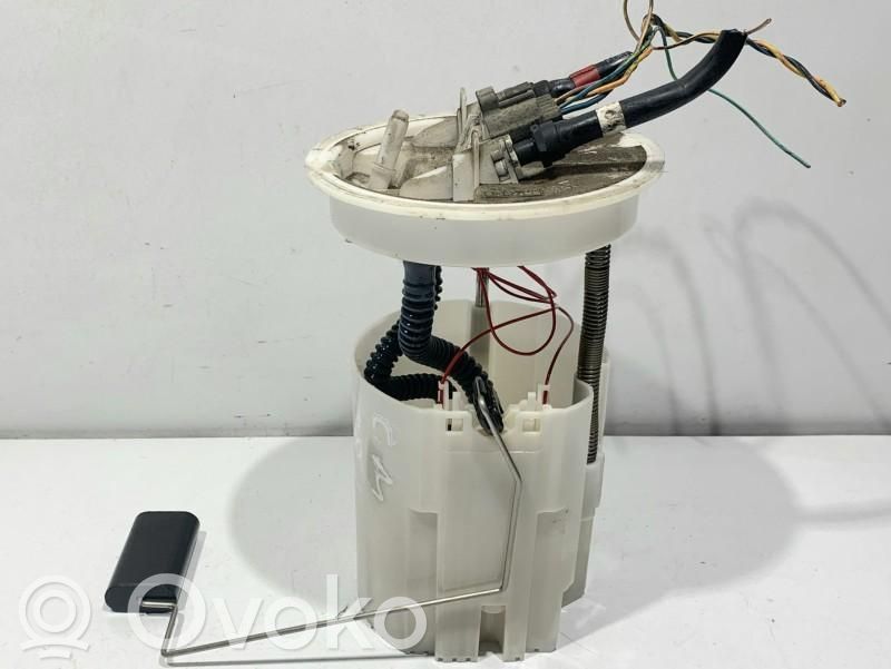 Ford C-MAX II In-tank fuel pump 