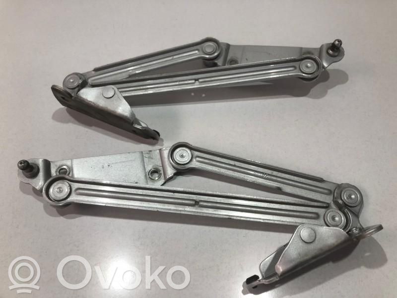 Volkswagen Phaeton Engine bonnet/hood hinges 