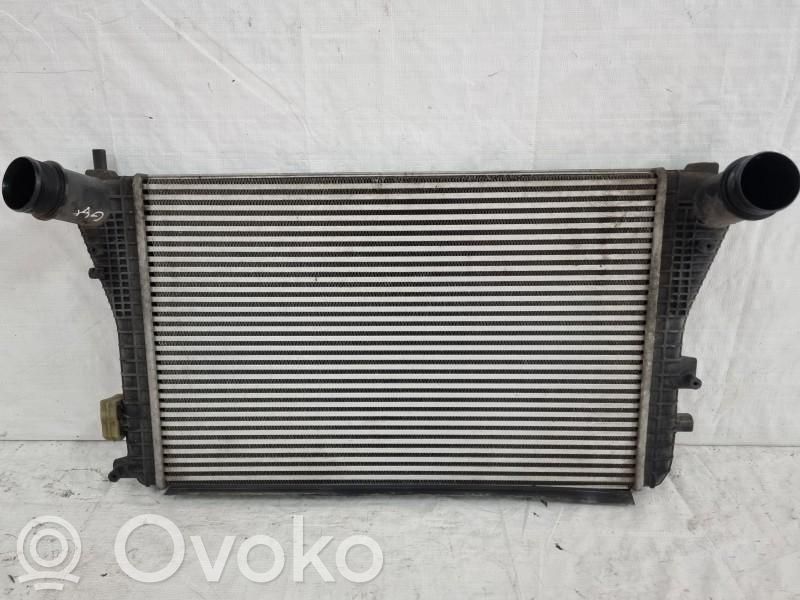 Volkswagen Golf Plus Interkūlerio radiatorius 