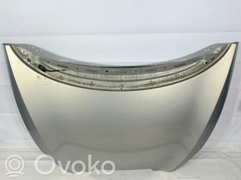 Engine bonnet/hood   5P0823031C