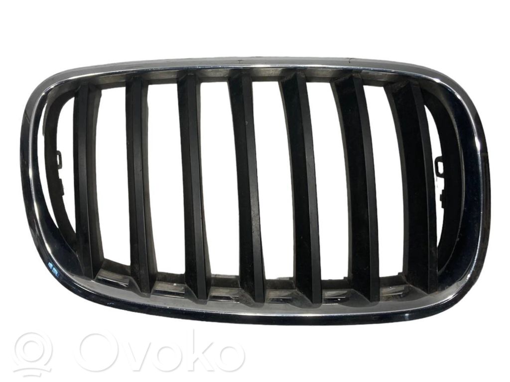 BMW X5 E70 Front bumper upper radiator grill 