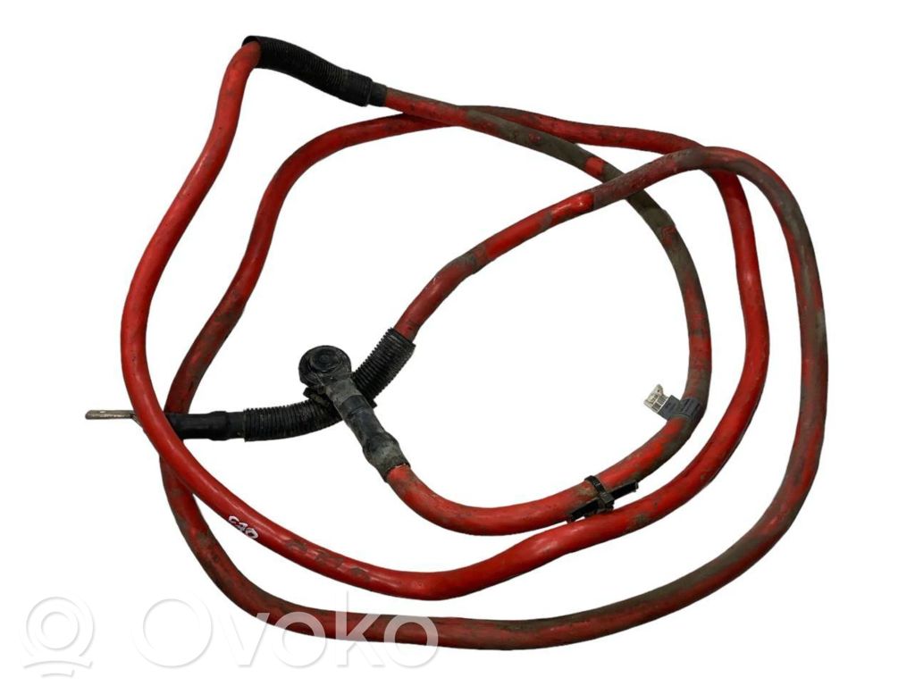 Plusa vads (akumulatora)   6974635