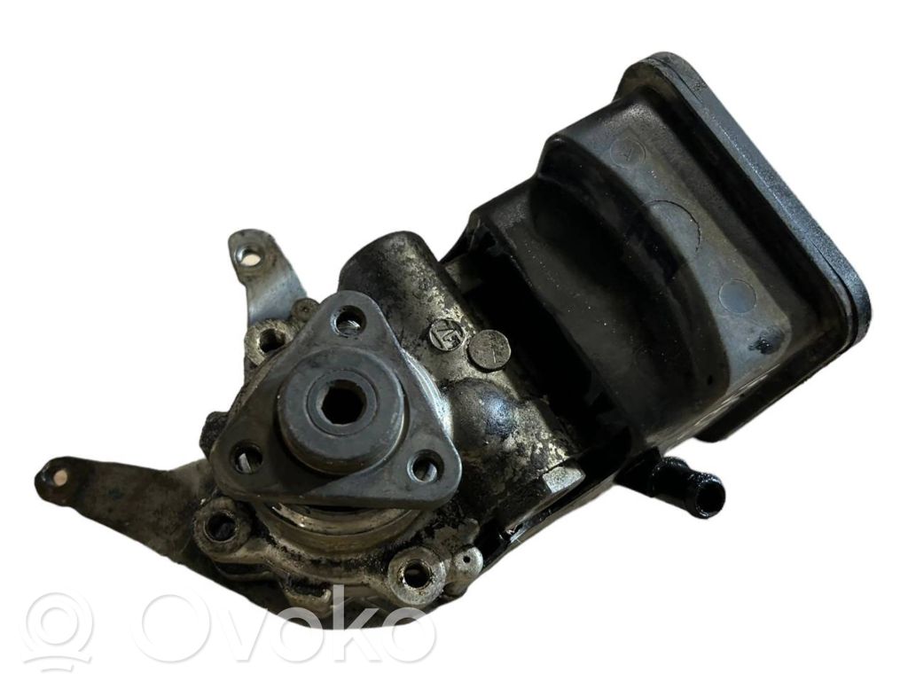 Power steering pump   1095749,7691974,32411095749