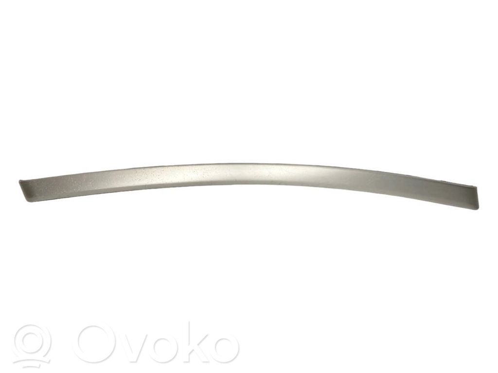 Front door trim bar   6982471,51416982471