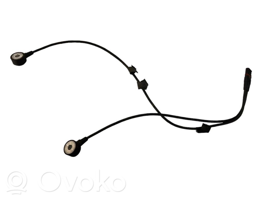 Klopfsensor   7531705