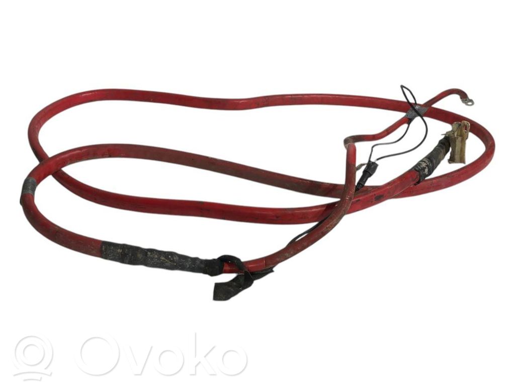 Positive cable (battery)   6927705