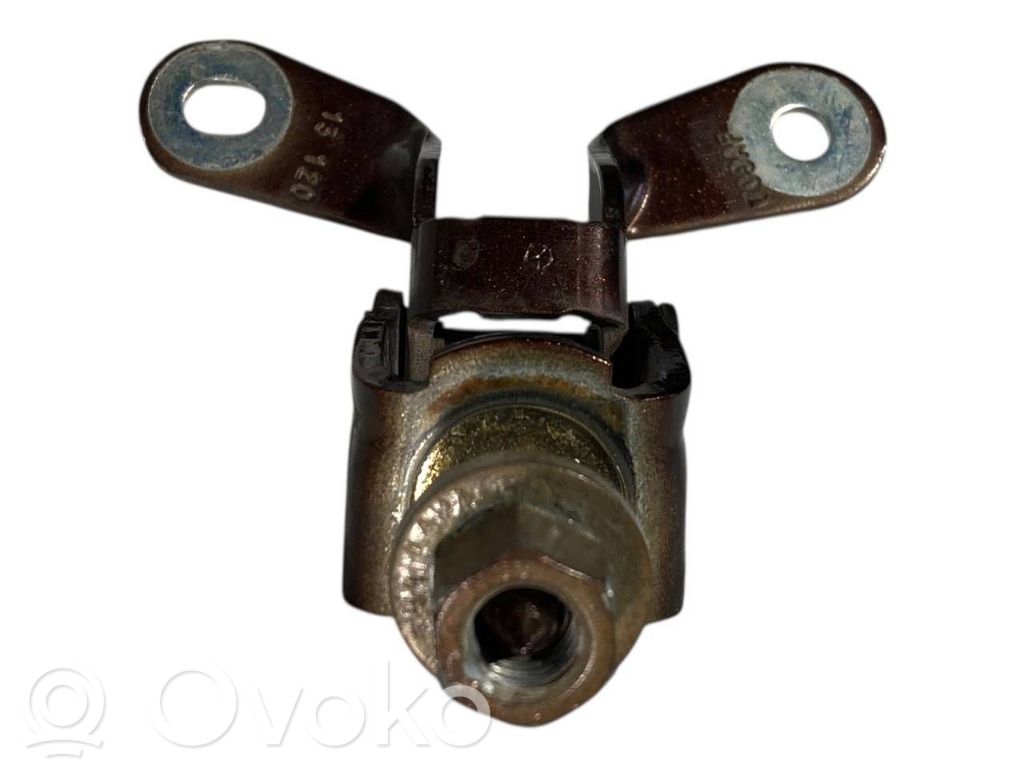 Tailgate/trunk/boot hinge   709AF