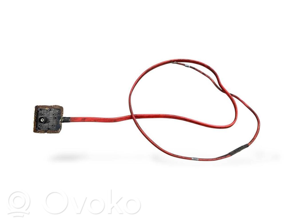 Cable positivo (batería)   6927704,9442248