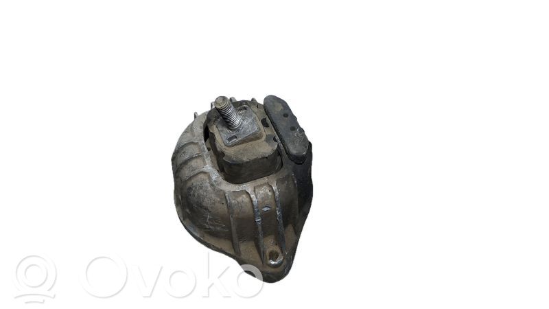Variklio pagalvė   13981112