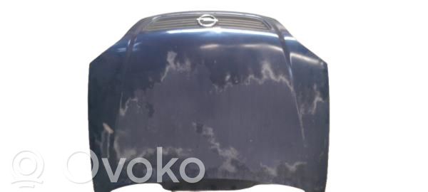 Engine bonnet/hood