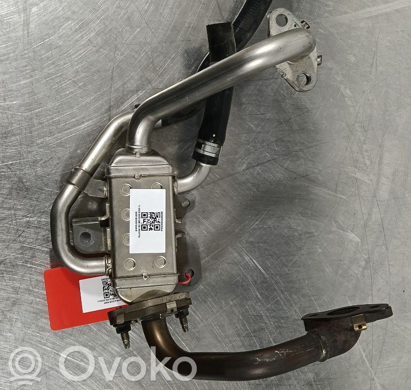 Hyundai i20 (BC3 BI3) Chłodnica spalin EGR 