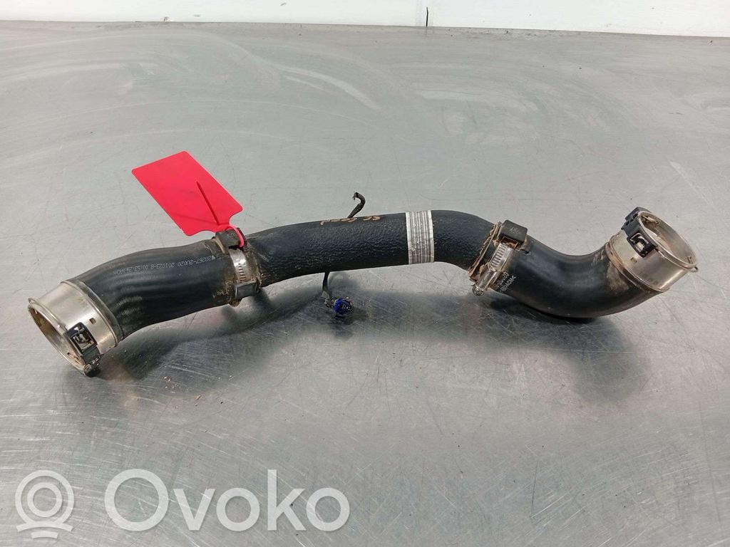 KIA Ceed Tubo flessibile intercooler 