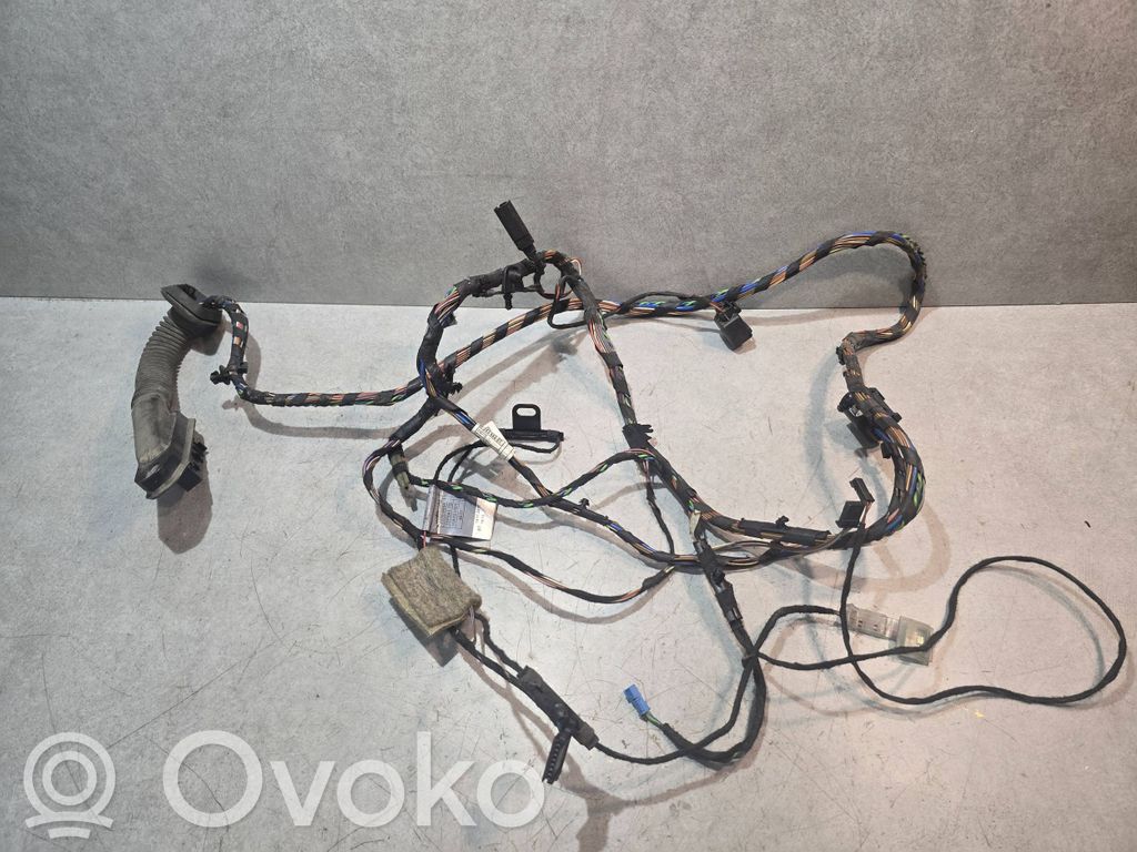 BMW X5 E70 Cableado de puerta trasera 