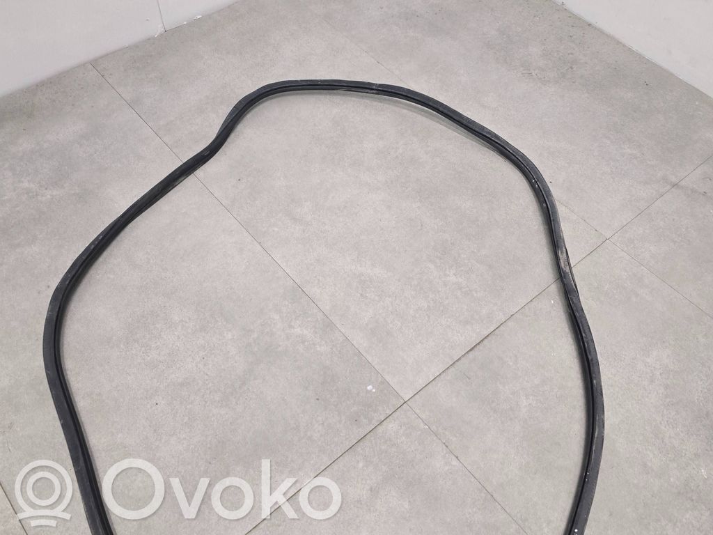 Audi Q5 SQ5 8R Gumowa uszczelka drzwi przednich 