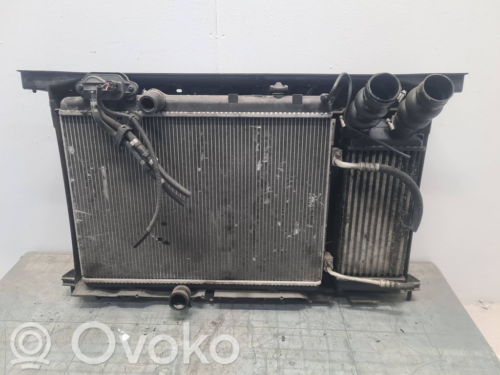 Radiatoru panelis   9680533480,RA1544,9917460D,9651351180