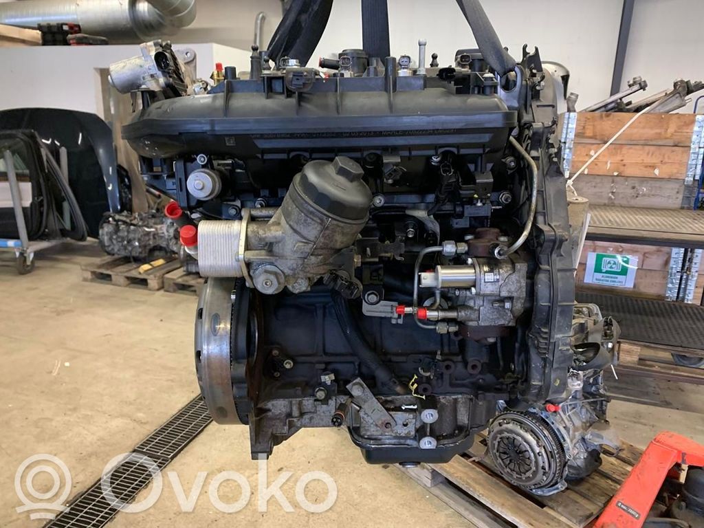 Engine   55487198,260611