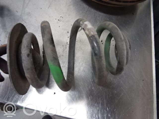 Muelle espiral trasero   33536750250,166062
