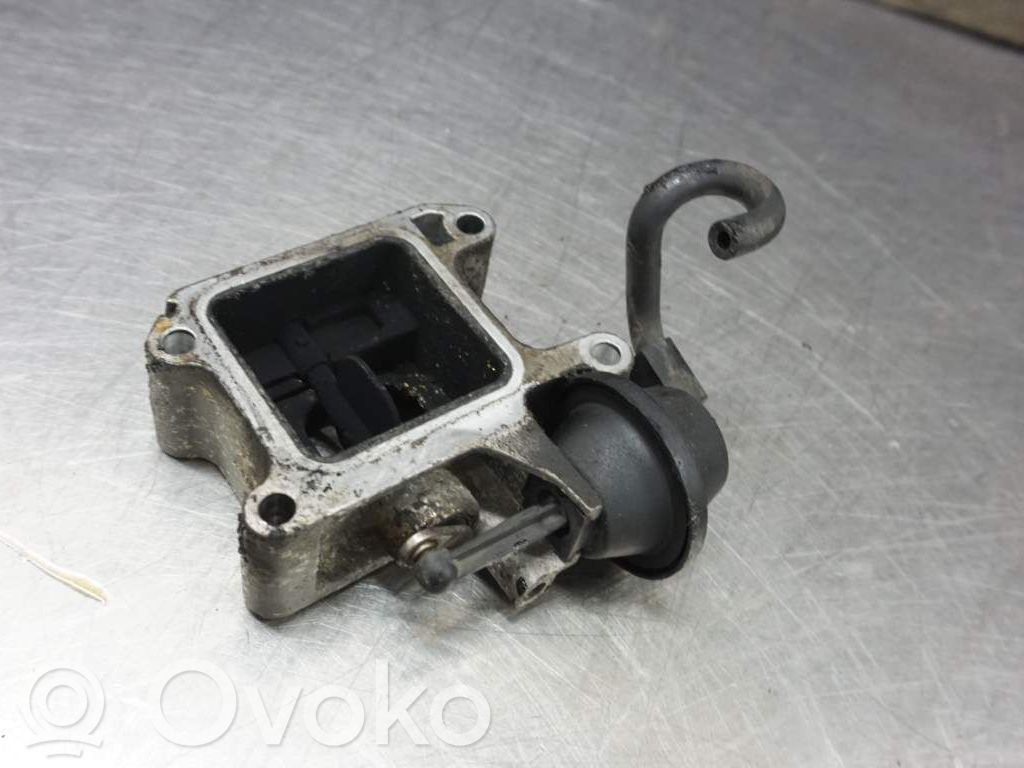 Válvula EGR   31219277,169900,503745010