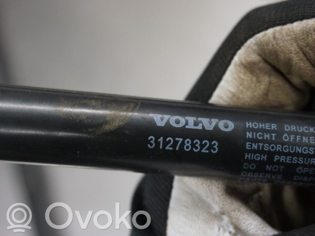 Tailgate strut   31278323,N023376,30657235