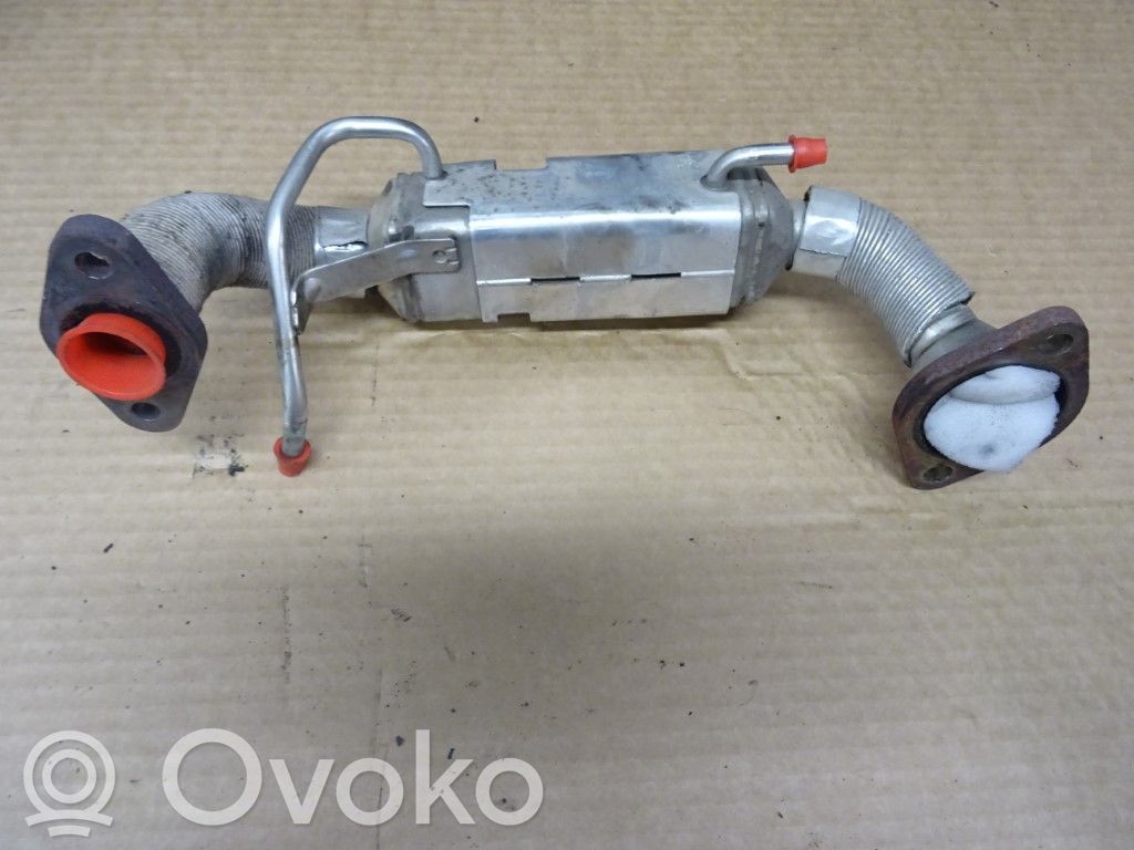Chłodnica spalin EGR   RF7J2031XA,N012711