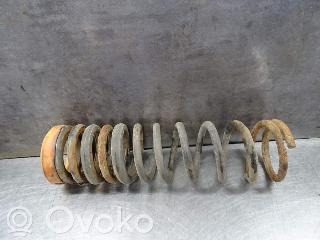 Rear coil spring   1143701,165989,SP2483