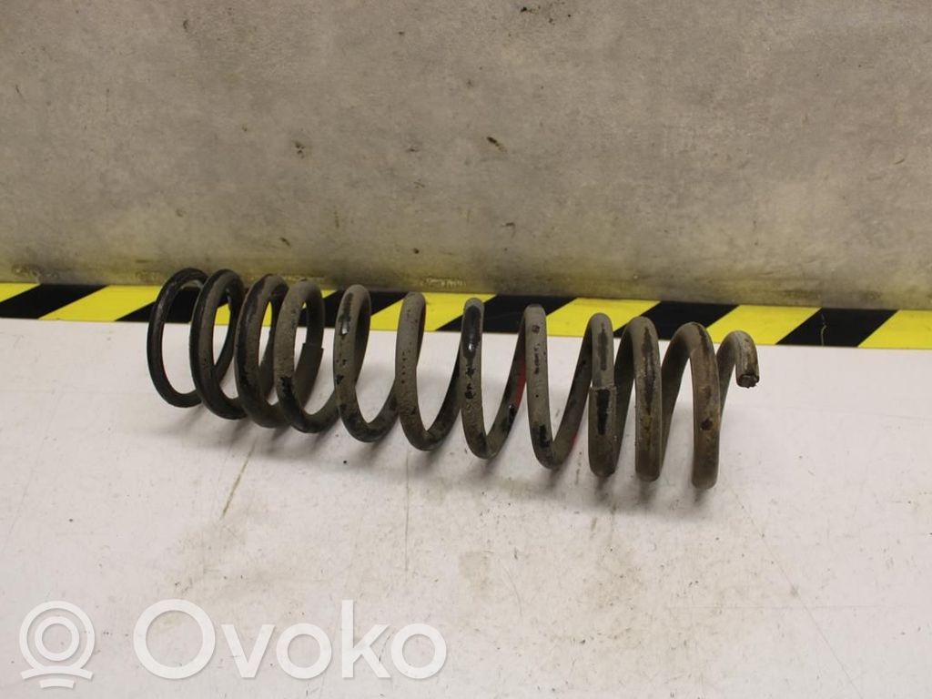 Rear coil spring   1381919,166191