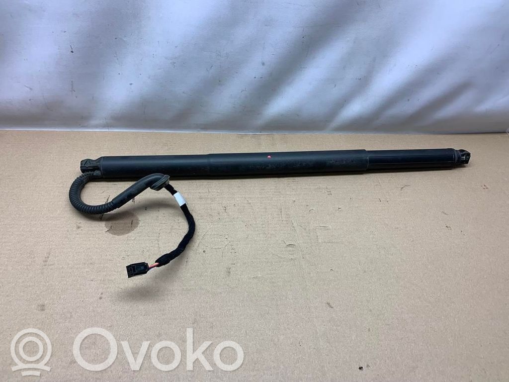 Volkswagen Tiguan Amortyzator / Siłownik tylnej klapy bagażnika 