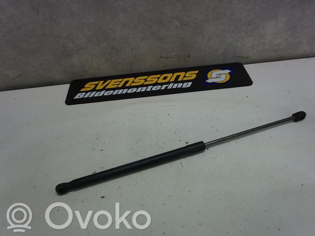 Tailgate strut   1666068,N044569