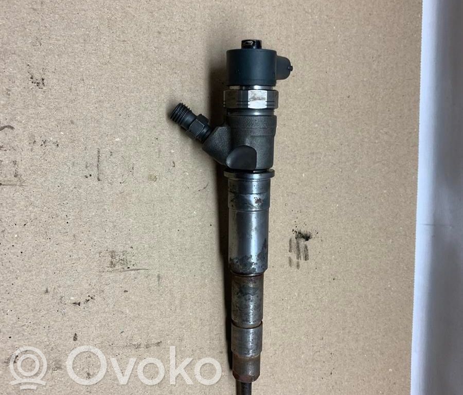Inyector de combustible   166009947R,N046112