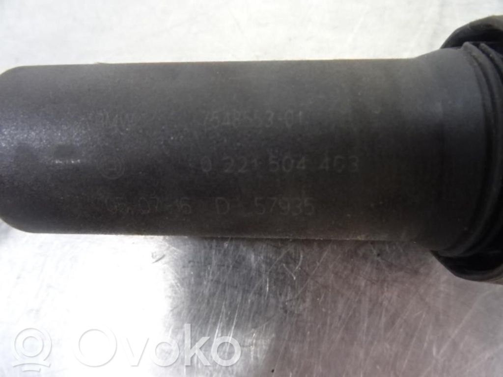 Aukštos įtampos ritė "babyna"   12135A06753,183279,0221504463
