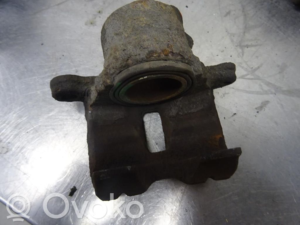 Etujarrusatula   MB928425,N037259