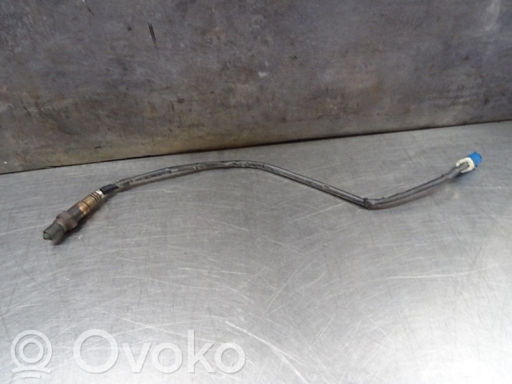 Зонд «Lambda»   30650780,N000131,3M519G444AB