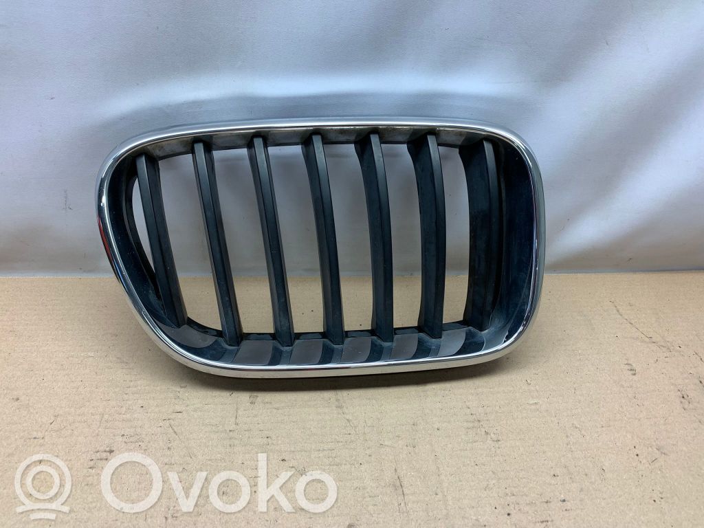 Maskownica / Grill / Atrapa górna chłodnicy   0093998,102671