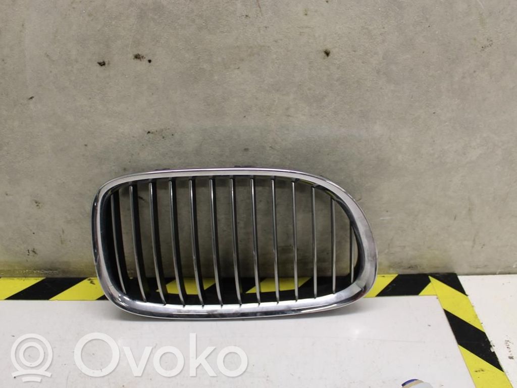 BMW 7 F01 F02 F03 F04 Mascherina inferiore del paraurti anteriore 