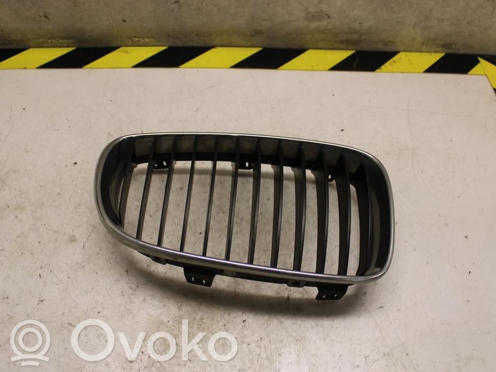 BMW 1 E81 E87 Front bumper lower grill 
