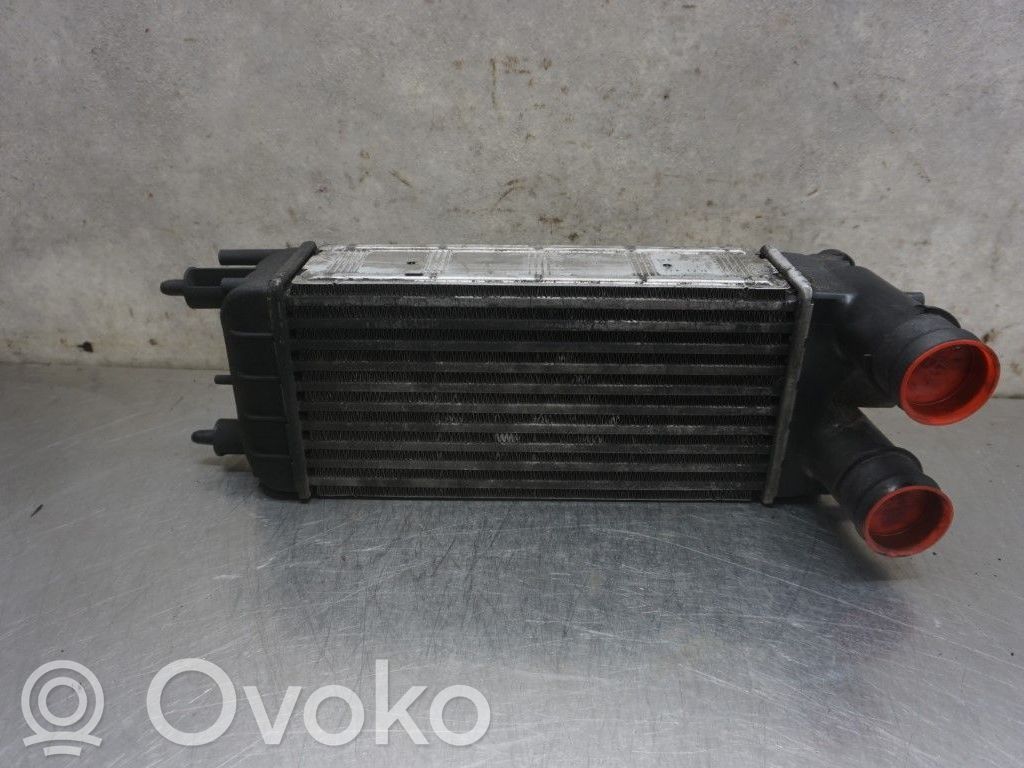 Interkūlerio radiatorius   0384P5,174076